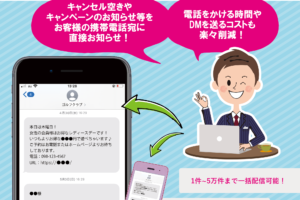 【フライヤー】SMS / 沖縄情報システム株式会社 様